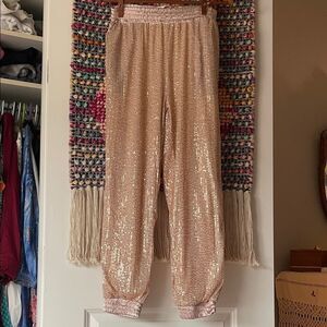 Sequin Embellished Women's Pants